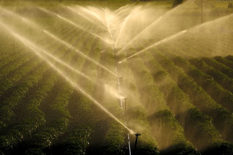 Irrigation System Installation