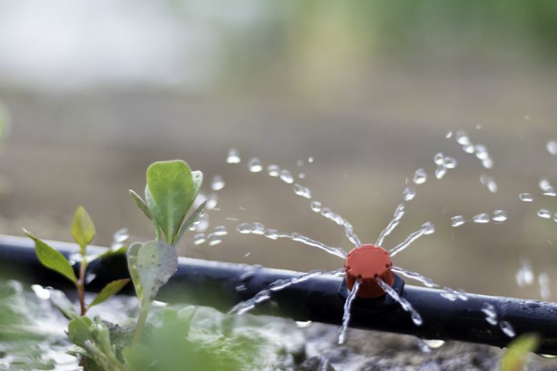 Drip Irrigation Installation