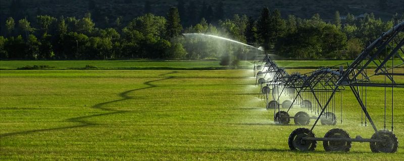 Irrigation System Installation