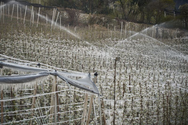Winterized Sprinkler System