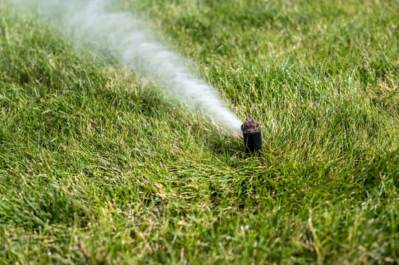 Sprinkler Blowout Pros