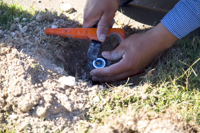 Sprinkler Head Replacement