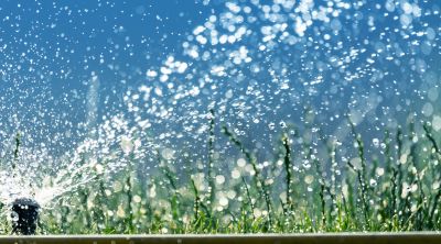 Experienced Sprinkler Technicians